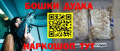 сатива Сланцы