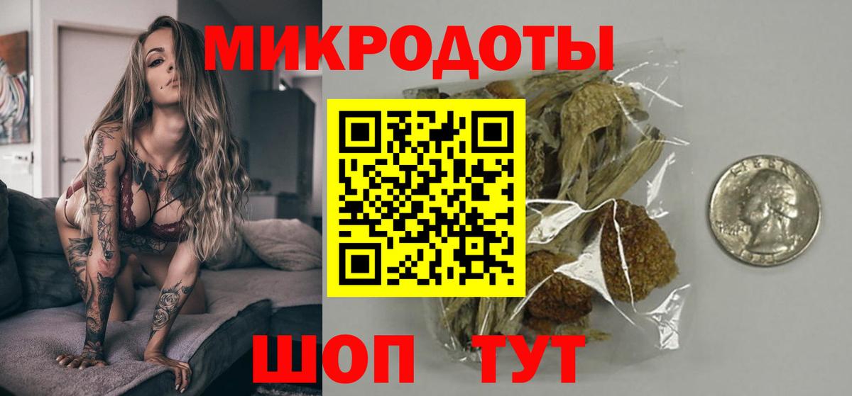 Псилоцибиновые грибы Psilocybine cubensis Оренбург